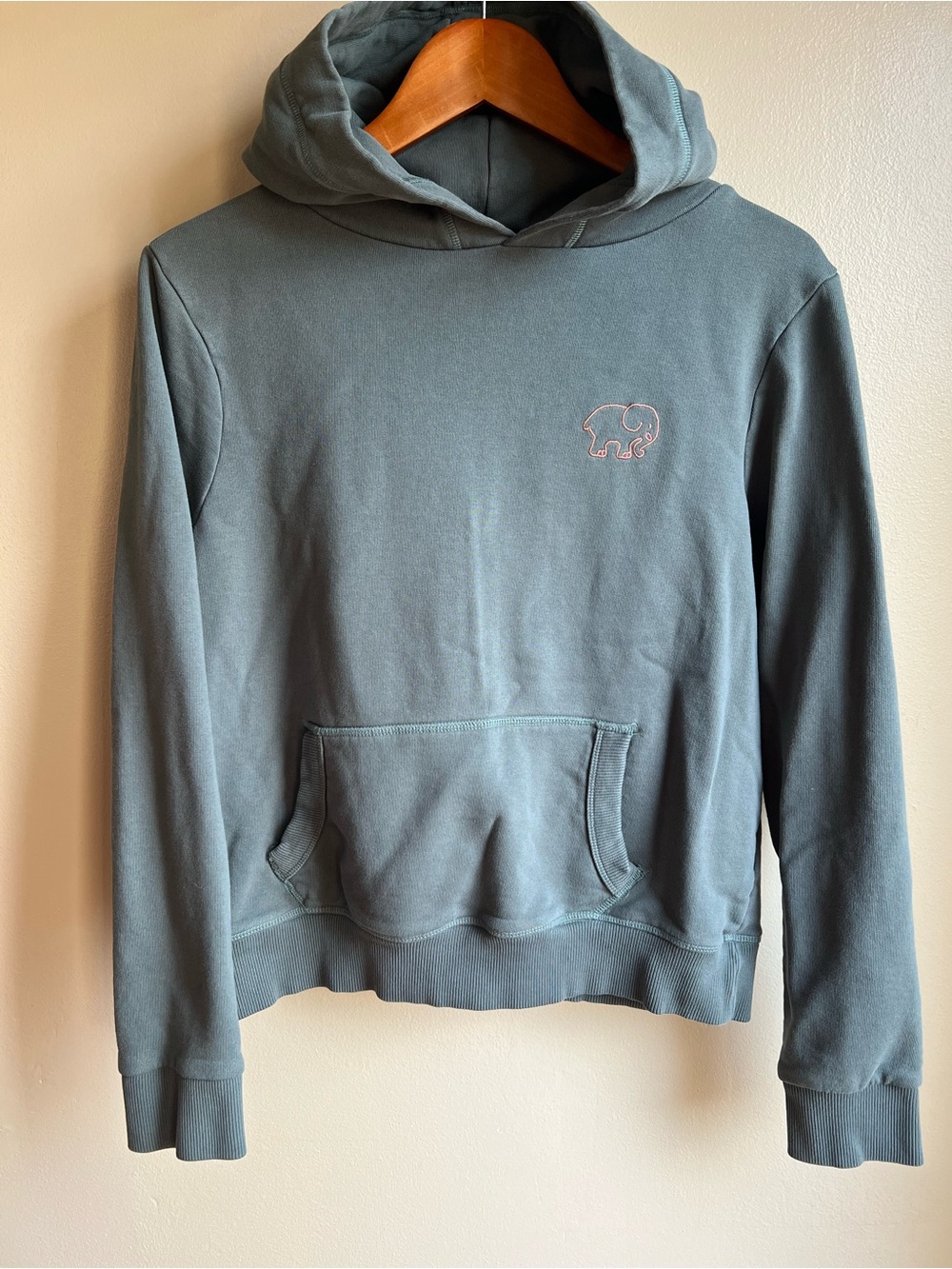 Ivory Ella Women’s Small Blue Gray Pink Paisley Elephant Pullover Hoodie - Picture 2 of 8